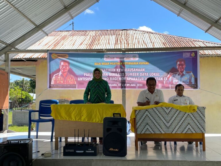 Kementan Gelar Pelatihan kewirausahaan Pakan Ternak Berbasis Sumber Daya lokal Antisipasi El Nino di Malaka