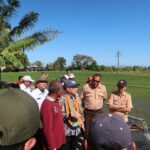 IMG-20240816-WA0038