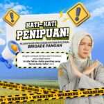 IMG-20241229-WA0041