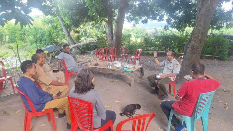 Jelang Kunjungan Wapres dan Mentan  BBPP Kupang lakukan Persiapan di Sikka