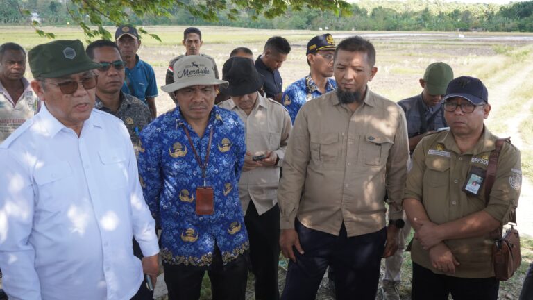 Bukti Komitmen Percepat Swasembada Pangan, Staf Khusus Mentan Kunjungi NTT