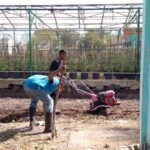 BBPP Kementan Kenalkan Teknologi Alsintan untuk Modernisasi Pertanian Kepada Siswa Magang
