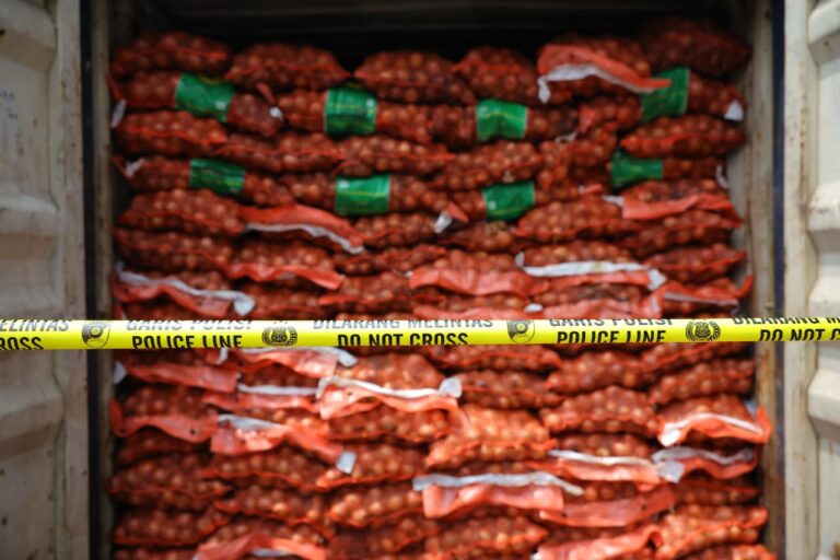 4 Organisme di Bawang Bombai Ilegal Ini Bisa Hancurkan Produksi Pertanian Nasional