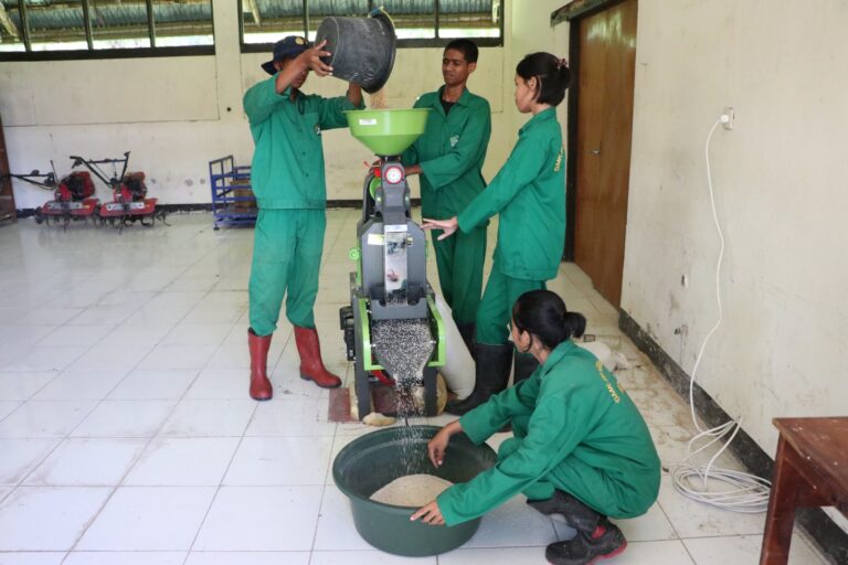 Dukung Swasembada Pangan, Siswa SMK-PP Kementan Pelajari Teknologi Pascapanen Padi