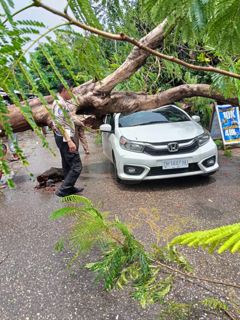 Pohon Tumbang Hantam Satu Unit Mobil, Satu Keluarga Selamat dari Bahaya