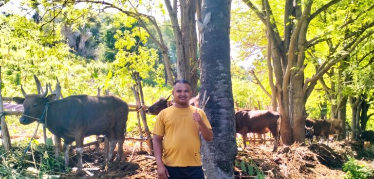 Garda Terdepan Ekonomi: Alumni Peternakan Undana Sulap Potensial Lokal Jadi Usaha Modern