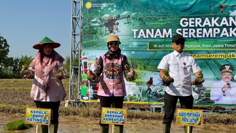 Genjot Produksi Pangan, Kementan Gelar Tanam Serentak di 26 Provinsi