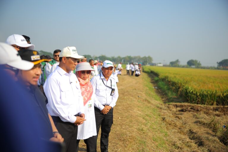 Mentan Amran: PM-AAS Gandakan Hasil Panen, Pendapatan Petani Ikut Naik